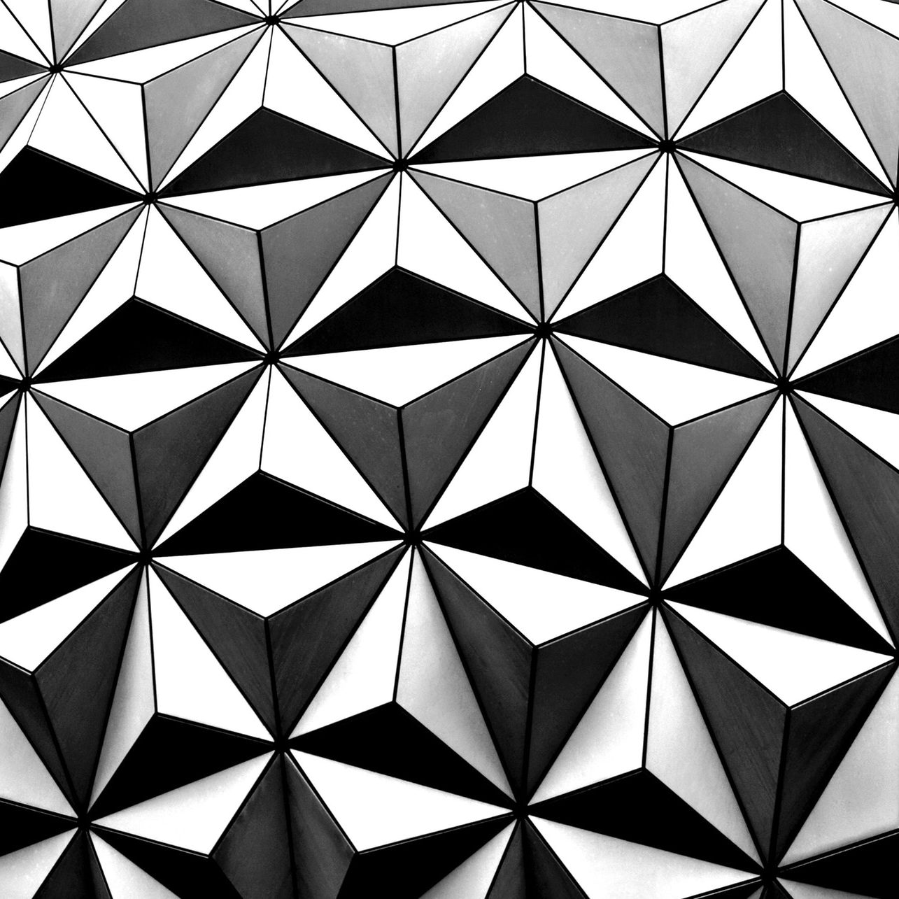 pattern history canopy growth